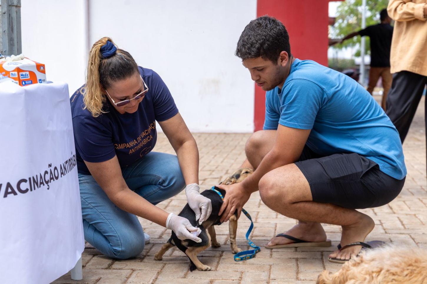 Dia D de Vacinação Antirrábica acontece neste sábado (27) em Rondonópolis 