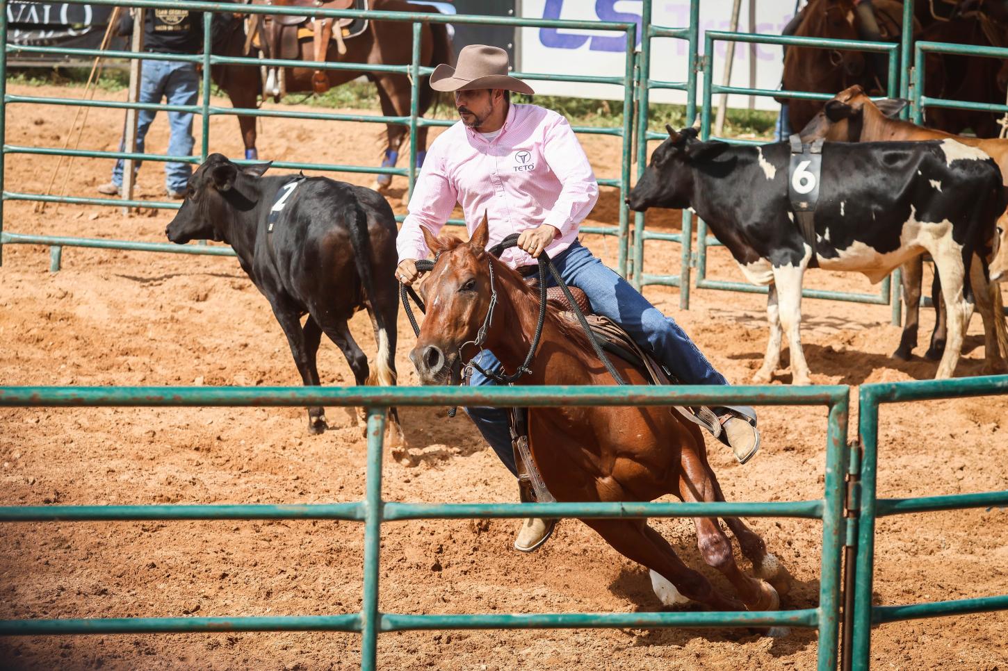 Programação da Semana do Cavalo Edição Rondonópolis terá eventos gratuitos a partir da oito da manhã da próxima quarta-feira