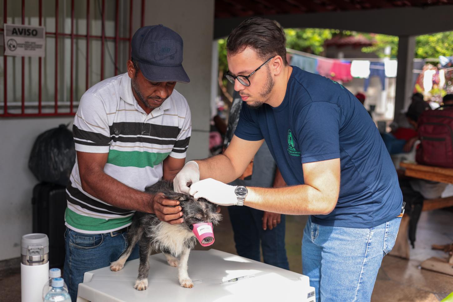 Pessoas em situação de rua e pets recebem serviços de assistência social e saúde