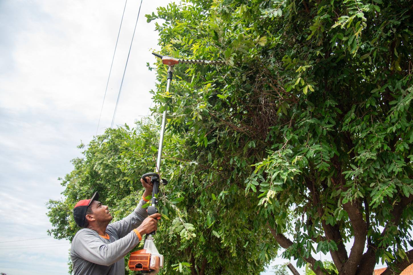Prefeitura disponibiliza serviços da área ambiental de forma digital