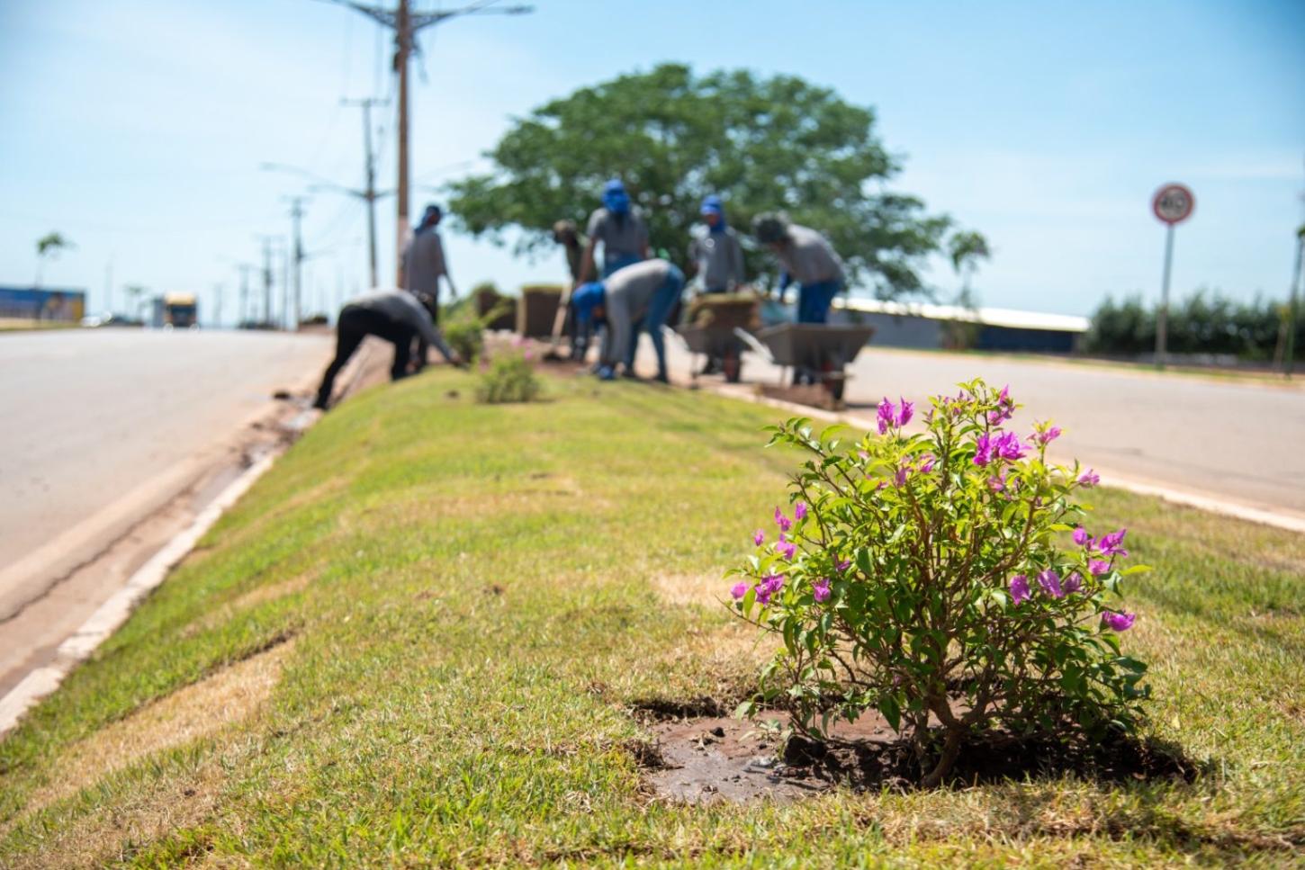 Obras de acessibilidade, paisagismo e revitalização melhoram cenário urbano de Rondonópolis
