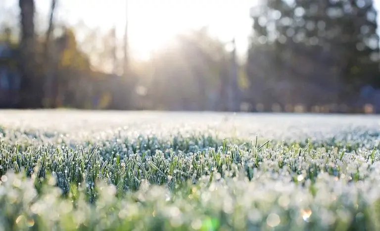 Prepare os casacos: ondas de frio chegam ao Brasil, e temperaturas podem chegar a 0ºC