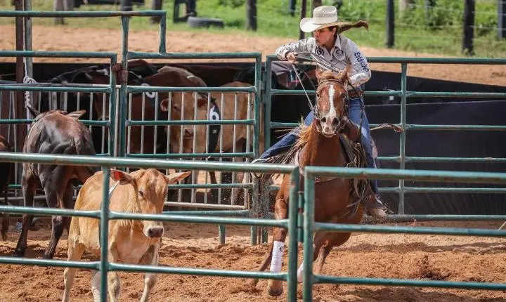 Com portões abertos, Semana do Cavalo Edição Rondonópolis entra nos preparativos finais