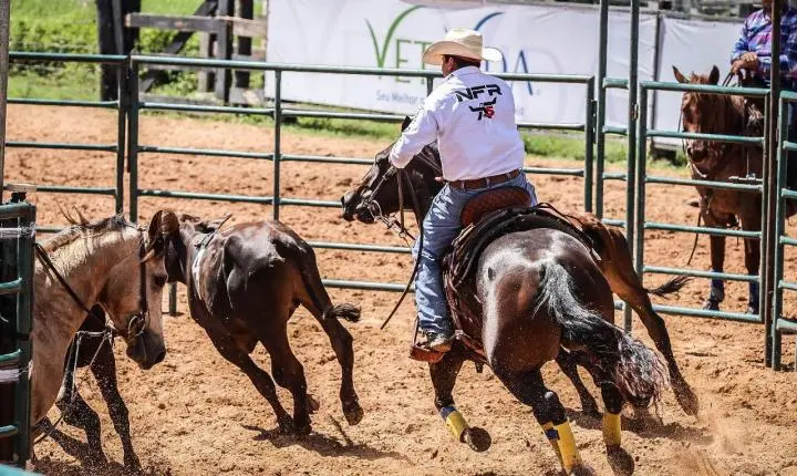 Com portões abertos, Semana do Cavalo Edição Rondonópolis entra nos preparativos finais