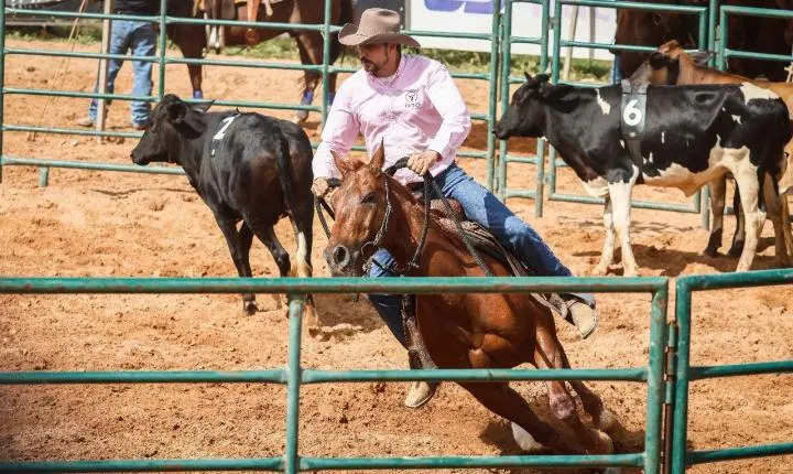 Com portões abertos, Semana do Cavalo Edição Rondonópolis entra nos preparativos finais