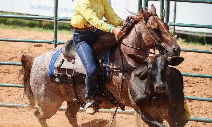 Com portões abertos, Semana do Cavalo Edição Rondonópolis entra nos preparativos finais