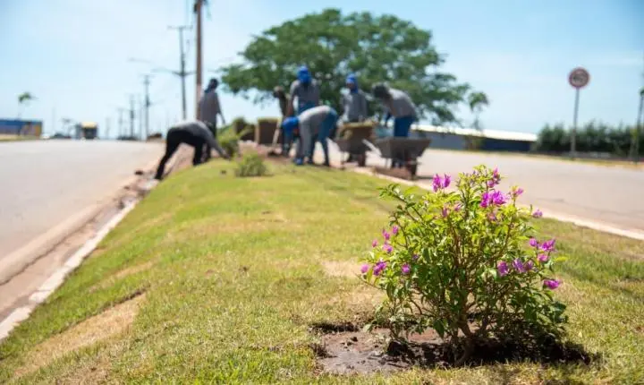 Obras de acessibilidade, paisagismo e revitalização melhoram cenário urbano de Rondonópolis