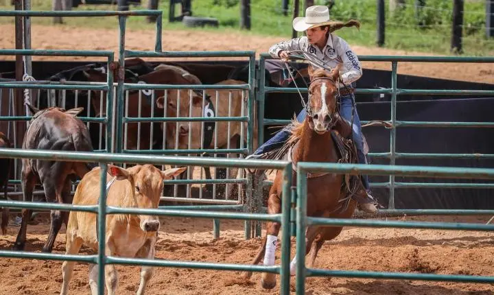 Programação da Semana do Cavalo Edição Rondonópolis terá eventos gratuitos a partir da oito da manhã da próxima quarta-feira